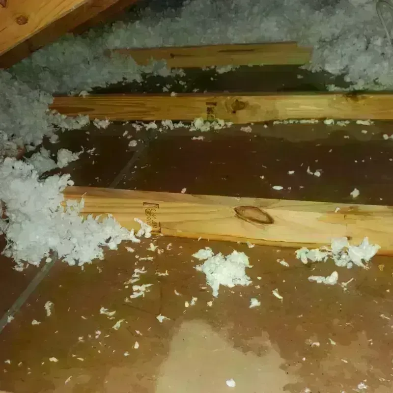 Attic Water Damage in Pleasant Hill, CA